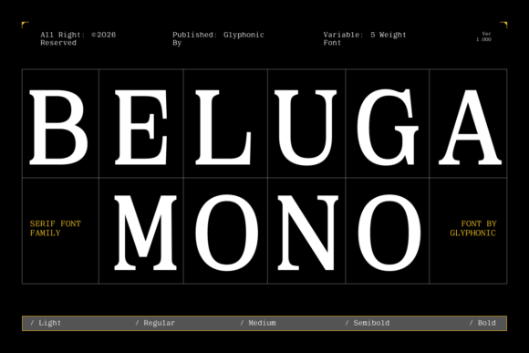 Beluga Mono: A Serif Font for Modern Design
