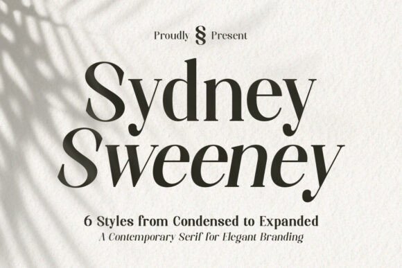 Professional Fonts for Small Business