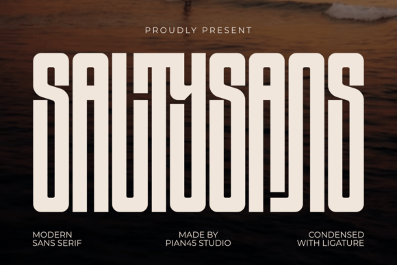 Salty Sans: A Bold Font for Business